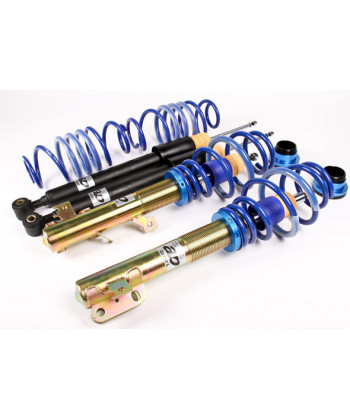 Combinés filetés AP Sport jambe 50mm (charges : avant 965kg /arrière : 960kg)